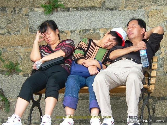 chinos dormidos